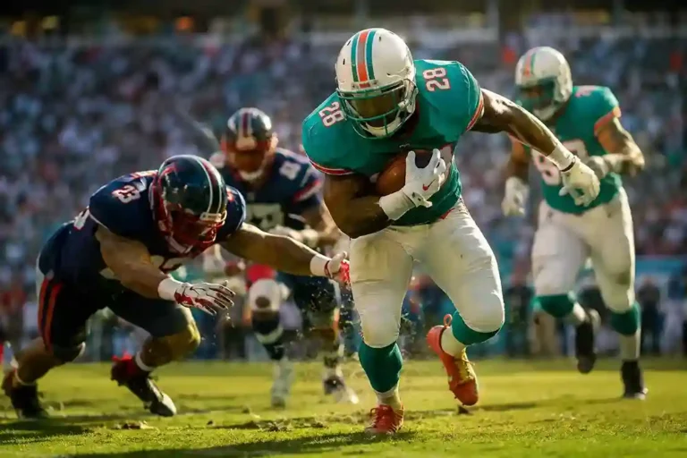 miami dolphins vs buffalo bills match player stats