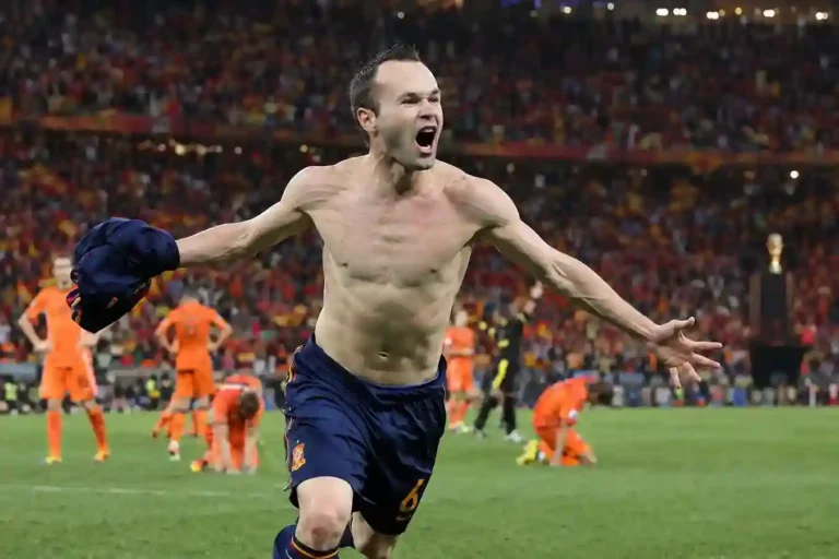 2010 fifa wc
